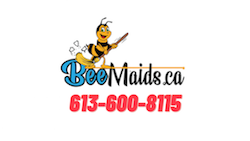 BeeMaids.ca business image in Ottawa, Ontario